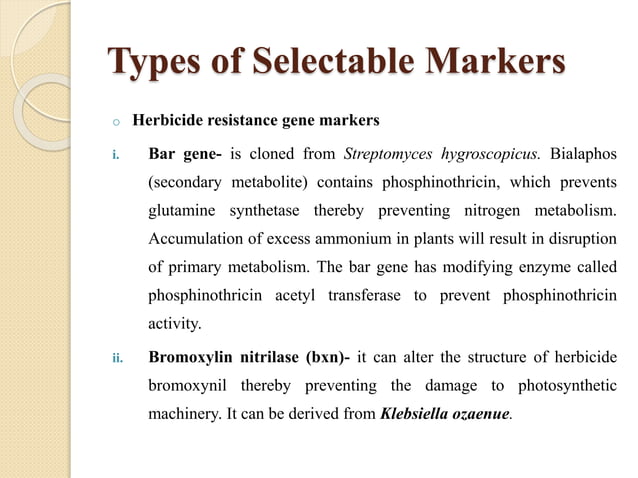 Screenable and Selectable Markers | PPTX | Chemistry | Science
