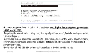 •F1 (92) progeny from a pair cross between two highly heterozygous genotypes--
364/7 and 6525/5.
•Map length, as estimated using the joinmap algorithm, was 1,144 cM and spanned all
16 homologues.
•developed simple sequence repeat (SSR) genetic markers for the white clover genome
by mining an expressed sequence tag (EST) database and by isolation from enriched
genomic libraries.
•Evaluation of 792 EST-SSR primer pairs resulted in 566 usable EST-SSRs.
18/11/2018 Mahesh R Hampannavar (mahi5295@gmail.com)
 