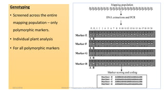Genotyping
• Screened across the entire
mapping population – only
polymorphic markers.
• Individual plant analysis
• For all polymorphic markers
18/11/2018 Mahesh R Hampannavar (mahi5295@gmail.com)
 