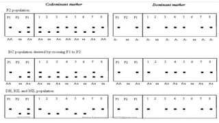 18/11/2018 Mahesh R Hampannavar (mahi5295@gmail.com)
 
