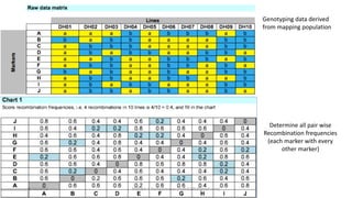 Genotyping data derived
from mapping population
Determine all pair wise
Recombination frequencies
(each marker with every
other marker)
18/11/2018 Mahesh R Hampannavar (mahi5295@gmail.com)
 