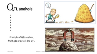 QTL analysis
Principle of QTL analysis
Methods of detect the QTL
u
e
s
t
i
o
n
18/11/2018 Mahesh R Hampannavar (mahi5295@gmail.com)
 