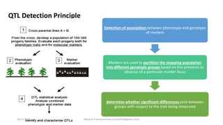 Detection of association between phenotype and genotype
of markers
Markers are used to partition the mapping population
into different genotypic groups based on the presence or
absence of a particular marker locus
determine whether significant differences exist between
groups with respect to the trait being measured
QTL Detection Principle
18/11/2018 Mahesh R Hampannavar (mahi5295@gmail.com)
 