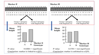18/11/2018 Mahesh R Hampannavar (mahi5295@gmail.com)
 