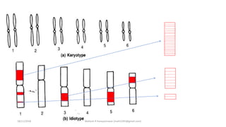 18/11/2018 Mahesh R Hampannavar (mahi5295@gmail.com)
 