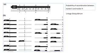 Probability of recombination between
marker E and marker H
Linkage disequilibrium
18/11/2018 Mahesh R Hampannavar (mahi5295@gmail.com)
 