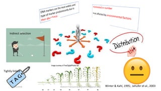 Genetic markers
•
Indirect selection
Tightly linked
Winter & Kahl, 1995; Jahufer et al., 200318/11/2018 Mahesh R Hampannavar (mahi5295@gmail.com)
 