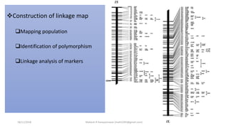 Construction of linkage map
Mapping population
Identification of polymorphism
Linkage analysis of markers
18/11/2018 Mahesh R Hampannavar (mahi5295@gmail.com)
 