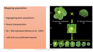 Mapping population
• Segregating plant populations
• Parent characteristics
• 50 – 250 individual (Mohan et al., 1997)
• self and cross pollinated species
18/11/2018 Mahesh R Hampannavar (mahi5295@gmail.com)
 