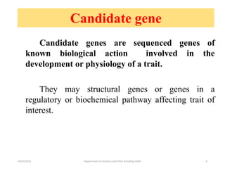 Candidate Gene Approach in Crop Improvement | PPTX