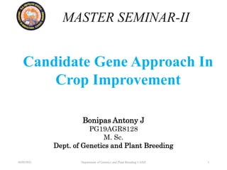 Candidate Gene Approach In
Crop Improvement
Bonipas Antony J
PG19AGR8128
M. Sc.
Dept. of Genetics and Plant Breeding
MASTER SEMINAR-II
26/05/2021 Department of Genetics and Plant Breeding UASD 1
 