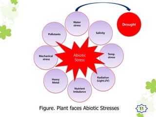 Nutrient
Imbalance
Water
stress
Mechanical
stress
Temp.
stress
Pollutants
Radiation
(Light,UV)Heavy
Metal
Salinity
Figure. Plant faces Abiotic Stresses
Drought
Abiotic
Stress
11
 