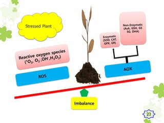 Imbalance
Stressed Plant
23
 