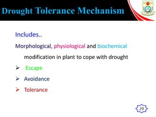 Drought Tolerance Mechanism
Includes..
Morphological, physiological and biochemical
modification in plant to cope with drought
 Escape
 Avoidance
 Tolerance
29
 