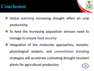 Conclusion
 Global warming increasing drought effect on crop
productivity
 To feed the increasing population stresses need to
manage to ensure food security
 Integration of the molecular approaches, morpho-
physiological analysis, and conventional breeding
strategies will accelerate cultivating drought-resistant
plants for agricultural production. 35
 