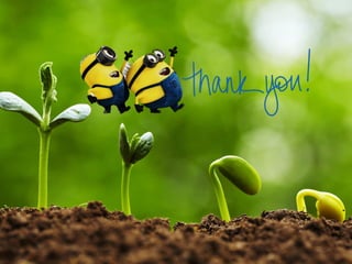 Drought tolerance mechanism in plant