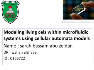 Credit: Wyss Institute at Harvard University Organs on chi
Modeling living cels within microfluidic
systems using cellular automata models
Name : sarah bassam abu zeidan
DR : wahan alshaaer
ID : 0166722
 