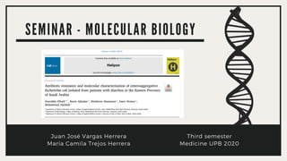 S E M I N A R - M O L E C U L A R B I O L O G Y
Third semester
Medicine UPB 2020
Juan José Vargas Herrera
María Camila Trejos Herrera
 