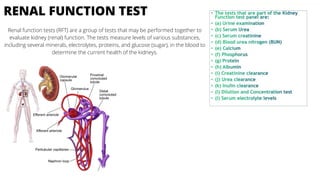 RENAL FUNCTION TEST
Renal function tests (RFT) are a group of tests that may be performed together to
evaluate kidney (renal) function. The tests measure levels of various substances,
including several minerals, electrolytes, proteins, and glucose (sugar), in the blood to
determine the current health of the kidneys.
 