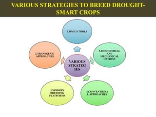 VARIOUS
STRATEG
IES
1.OMICS TOOLS
5.BIOCHEMICAL
AND
MECHANICAL
OPTIONS
4.CONVENTIONA
LAPPROACHES
3.MODERN
BREEDING
PLATFORMS
2.TRANSGENIC
APPROACHES
VARIOUS STRATEGIES TO BREED DROUGHT-
SMART CROPS
 