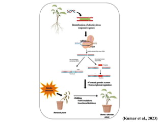 (Kumar et al., 2023)
 