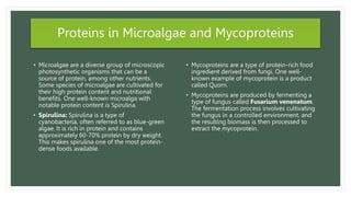 Mycoprotein Examples Plant Based / Vegan Protein Seminar.pptx