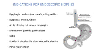 PROCESSING OF ENDOSCOPIC BIOPSIES AND THEIR INTERPRETATION, WITH ...