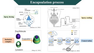 Modified starch as an encapsulation material for bioactive delivery | PPTX
