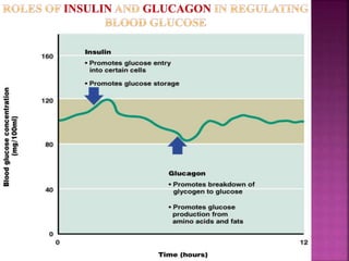 regulation of blood sugar | PPTX