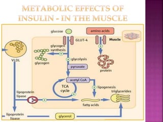 regulation of blood sugar | PPTX