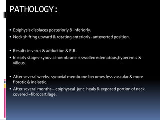  Epiphysis displaces posteriorly & inferiorly.
 Neck shifting upward & rotating anteriorly- anteverted position.
 Results in varus & adduction & E.R.
 In early stages-synovial membrane is swollen edematous,hyperemic &
villous.
 After several weeks- synovial membrane becomes less vascular & more
fibrotic & inelastic.
 After several months – epiphyseal junc heals & exposed portion of neck
covered –fibrocartilage.
 