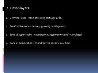  Physis layers:
1. Germinal layer – zone of resting cartilage cells.
2. Proliferative zone – actively growing cartilage cells.
3. Zone of hypertrophy – chondrocytes become swollen & vacuolated.
4. Zone of calcification – chondrocytes become calcified.
 