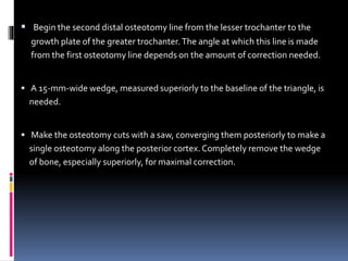  Begin the second distal osteotomy line from the lesser trochanter to the
growth plate of the greater trochanter.The angle at which this line is made
from the first osteotomy line depends on the amount of correction needed.
 A 15-mm-wide wedge, measured superiorly to the baseline of the triangle, is
needed.
 Make the osteotomy cuts with a saw, converging them posteriorly to make a
single osteotomy along the posterior cortex. Completely remove the wedge
of bone, especially superiorly, for maximal correction.
 
