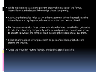  While maintaining traction to prevent proximal migration of the femur,
internally rotate the leg until the wedge closes completely.
 Abducting the leg also helps to close the osteotomy. When the patella can be
internally rotated 15 degrees, adequate correction has been achieved.
 Fix the osteotomy with three or four cannulated screws . use the first guidewire
to hold the osteotomy temporarily in the desired position. Use only one screw
to span the physis of the femoral head, avoiding the superolateral quadrant.
 Check alignment and screw placement on permanent radiographs before
closing the wound.
 Close the wound in routine fashion, and apply a sterile dressing.
 
