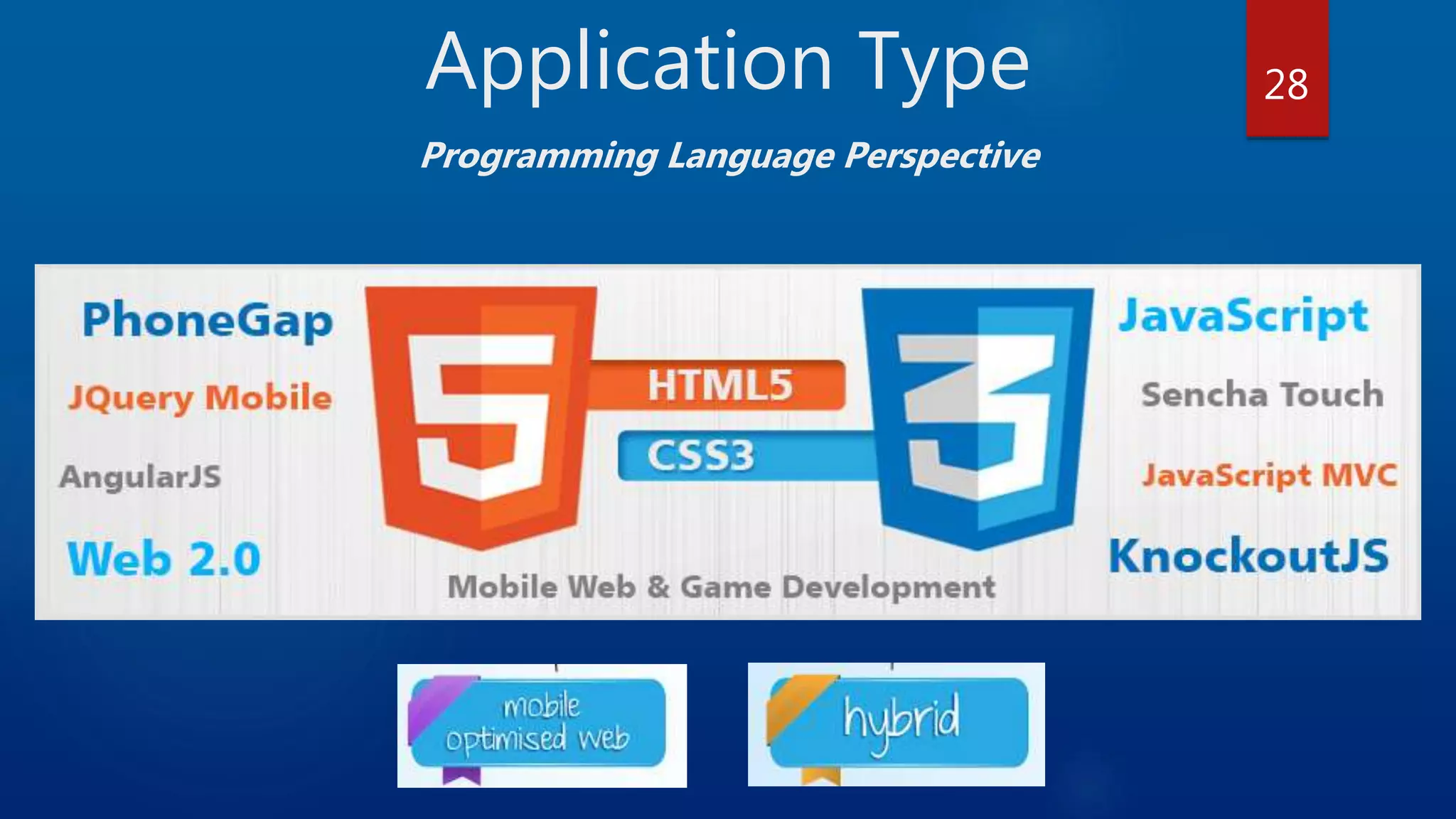 Application Type Programming Language Perspective 28 