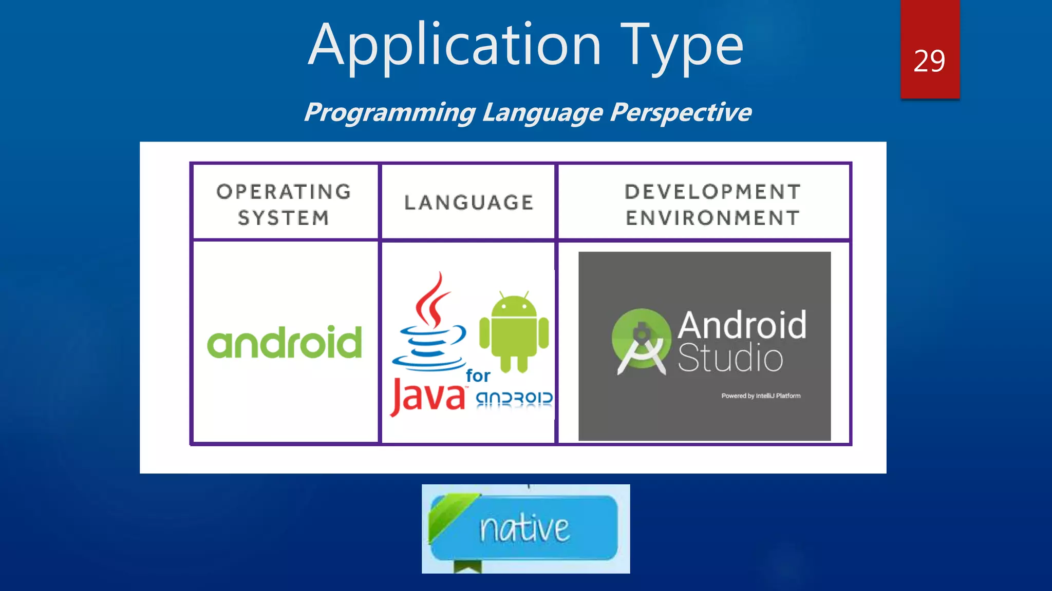 Application Type Programming Language Perspective 29 
