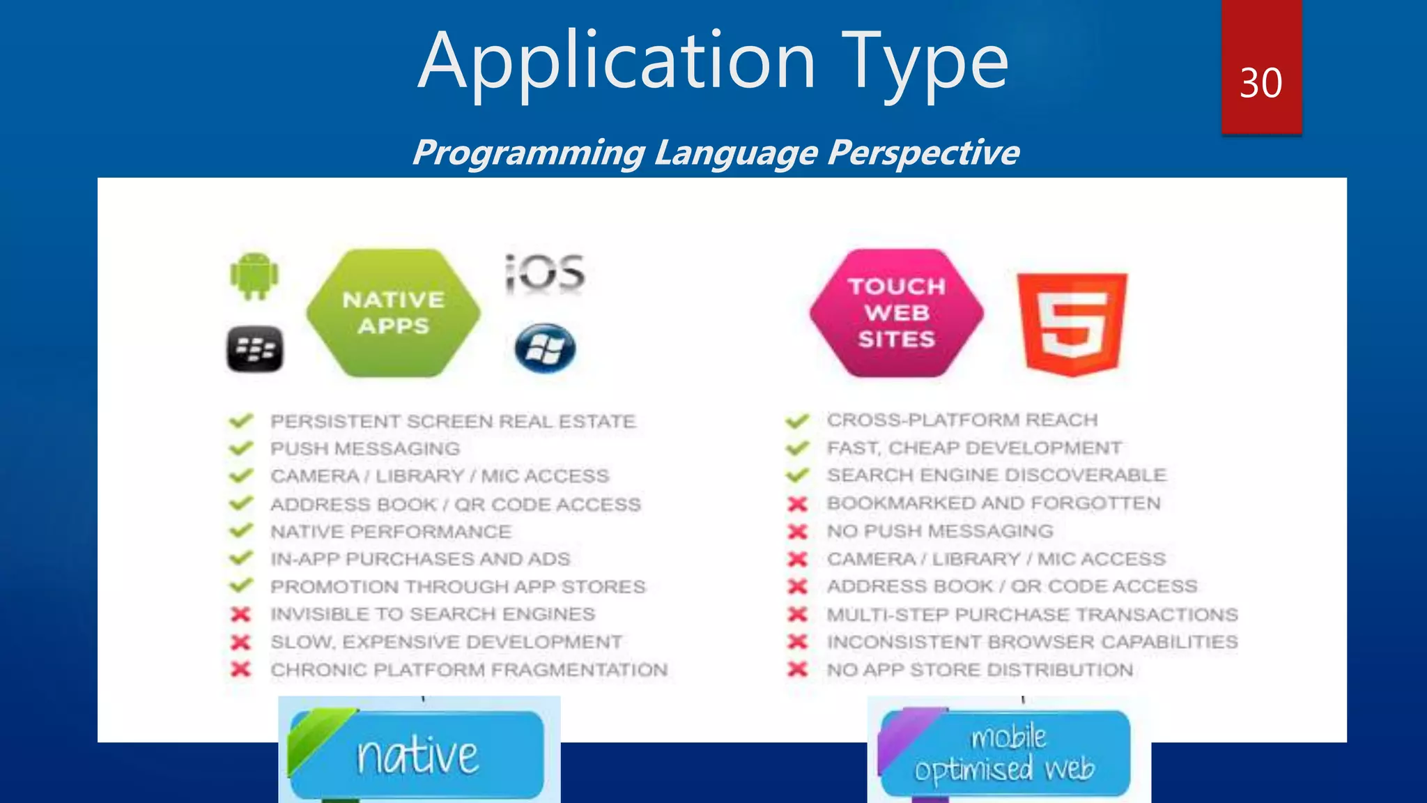 Application Type Programming Language Perspective 30 