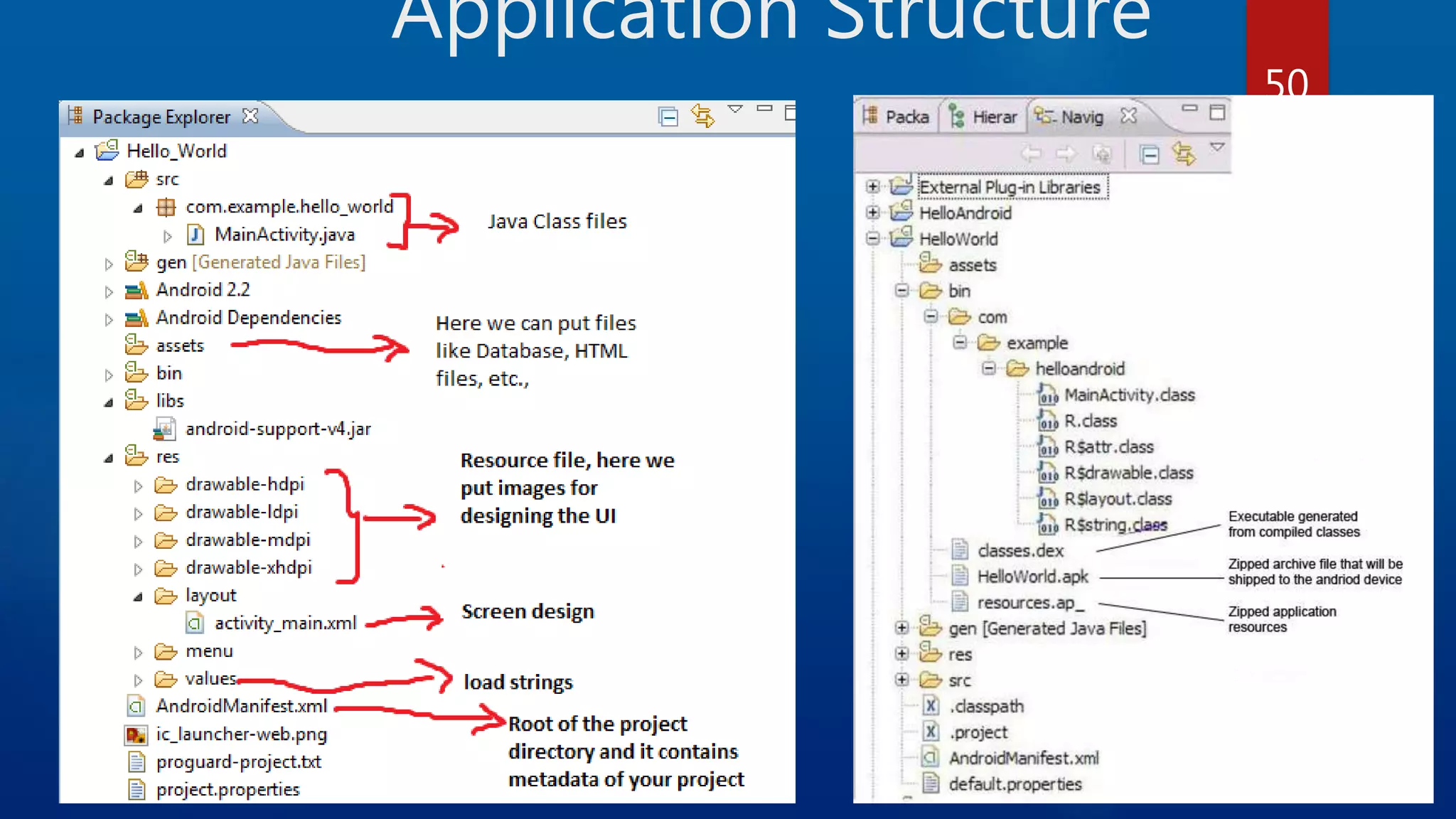 Application Structure 50 