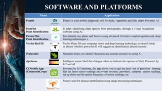 Seminar-Artificial intelligence in vegetable breeding [Autosaved] (1).pptx