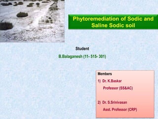 Student
B.Balaganesh (11- 515- 301)
Members
1) Dr. K.Baskar
Professor (SS&AC)
2) Dr. S.Srinivasan
Asst. Professor (CRP)
Phytoremediation of Sodic and
Saline Sodic soil
 