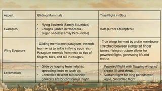 Flying mammal Evolution - Bat Evolution.pptx