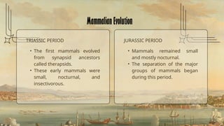 Flying mammal Evolution - Bat Evolution.pptx
