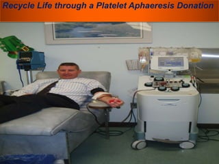 Recycle Life through a Platelet Aphaeresis Donation 
Recycle Life through a Plateletpheresis Donation 
This is John A. Zendt, a Moody Gardens Employee donating platelets 
and plasma. 
Do you want to become an Apheresis Donor? 
 