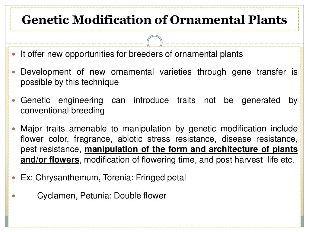Breeding for Different Flower Forms in Ornamental Crops