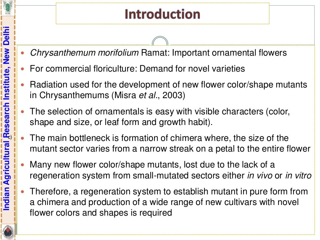 Breeding for Different Flower Forms in Ornamental Crops