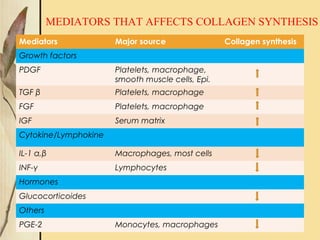 Mediators Major source Collagen synthesis
Growth factors
PDGF Platelets, macrophage,
smooth muscle cells, Epi.
TGF β Platelets, macrophage
FGF Platelets, macrophage
IGF Serum matrix
Cytokine/Lymphokine
IL-1 α,β Macrophages, most cells
INF-γ Lymphocytes
Hormones
Glucocorticoides
Others
PGE-2 Monocytes, macrophages
MEDIATORS THAT AFFECTS COLLAGEN SYNTHESIS
 