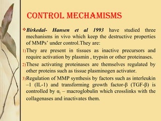 CONTROL MECHAMISMS
Birkedal- Hansen et al 1993 have studied three
mechanisms in vivo which keep the destructive properties
of MMPs’ under control.They are:
1)They are present in tissues as inactive precursors and
require activation by plasmin , trypsin or other proteinases.
2)These activating proteinases are themselves regulated by
other proteins such as tissue plasminogen activator.
3)Regulation of MMP synthesis by factors such as interleukin
–1 (IL-1) and transforming growth factor-β (TGF-β) is
controlled by α2 – macroglobulin which crosslinks with the
collagenases and inactivates them.
 
