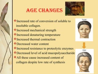AGE CHANGES
Increased rate of conversion of soluble to
insoluble collagen.
Increased mechanical strength
Increased denaturing temperature
Increased thermal contraction
Decreased water content
Increased resistance to proteolytic enzymes
Decreased level of acid mucopolysaccharide
All these cause increased content of
collagen despite low rate of synthesis
 