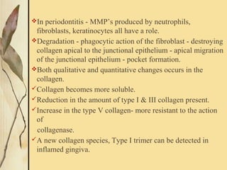 In periodontitis - MMP’s produced by neutrophils,
fibroblasts, keratinocytes all have a role.
Degradation - phagocytic action of the fibroblast - destroying
collagen apical to the junctional epithelium - apical migration
of the junctional epithelium - pocket formation.
Both qualitative and quantitative changes occurs in the
collagen.
Collagen becomes more soluble.
Reduction in the amount of type I & III collagen present.
Increase in the type V collagen- more resistant to the action
of
collagenase.
A new collagen species, Type I trimer can be detected in
inflamed gingiva.
 