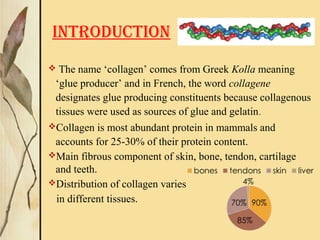 INTRODUCTION
 The name ‘collagen’ comes from Greek Kolla meaning
‘glue producer’ and in French, the word collagene
designates glue producing constituents because collagenous
tissues were used as sources of glue and gelatin.
Collagen is most abundant protein in mammals and
accounts for 25-30% of their protein content.
Main fibrous component of skin, bone, tendon, cartilage
and teeth.
Distribution of collagen varies
in different tissues.
 